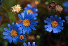 “Familie in Blau – alle Generationen” – (Bild 0005)