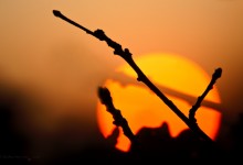 “Sonnenuntergang in Erwartung” – (Bild 0024)