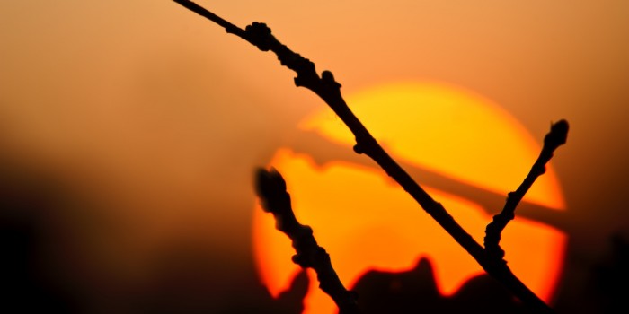 “Sonnenuntergang in Erwartung” – (Bild 0024) “Sonnenuntergang in Erwartung” – (Bild 0024)