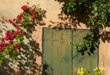 “Offen und verschlossen” – (Bild 0037)