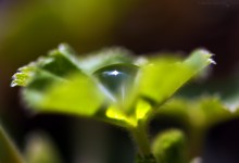 “Meditation” – (Bild 0050)
