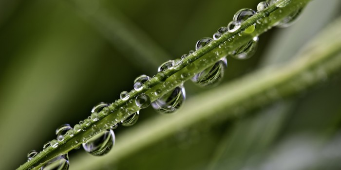“Tropfenzauber” – (Bild 0053) “Tropfenzauber” – (Bild 0053)