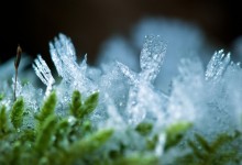 “Winkende Eiskristallhände” – (Bild 0058)