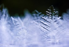 “Zauber-Eis-Wald” – (Bild 0062)