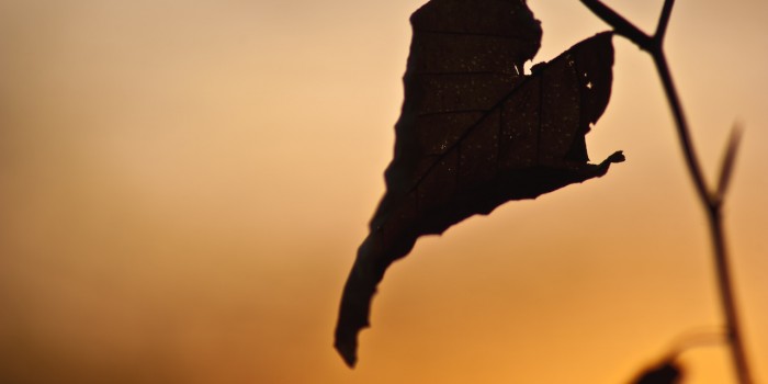 “Ein herzlicher Abendgruß” – (Bild 0069) “Ein herzlicher Abendgruß” – (Bild 0069)