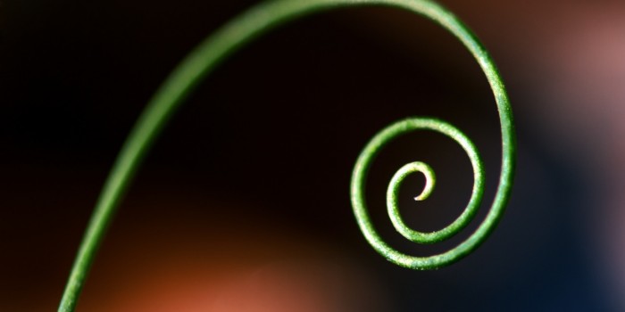 “Spiralbogen” – (Bild 128) “Spiralbogen” – (Bild 128)