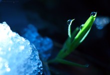 “Erstarrung und Leben” – (Bild 0096)
