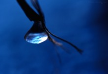 “Eistropfen – über dem Bach” – (Bild 0101)