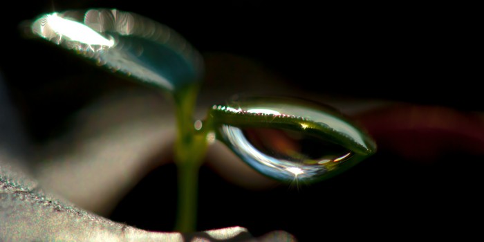 “Das Auge” – (Bild 0078) “Das Auge” – (Bild 0078)