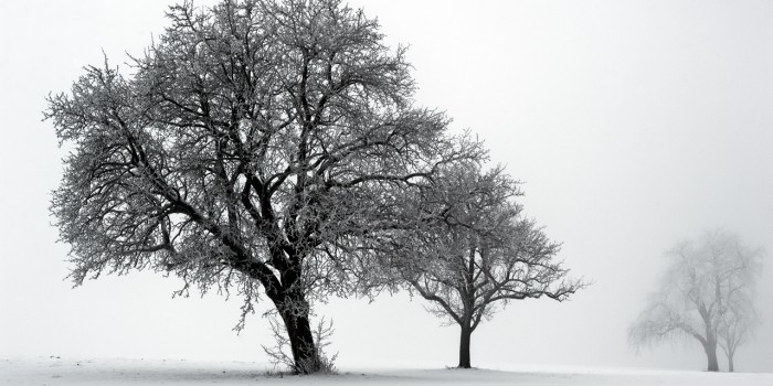“Winterzauber” – (Bild 0077) “Winterzauber” – (Bild 0077)
