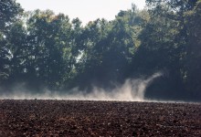 “Herbstbodennebel” – (Bild 0143)