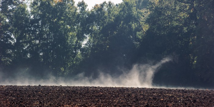 “Herbstbodennebel” – (Bild 0143) “Herbstbodennebel” – (Bild 0143)
