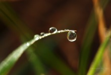 “In jedem Wassertropfen eine Welt” – (Bild 0136)