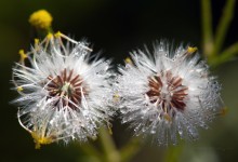 “Augen-Blick” – (Bild 0153)
